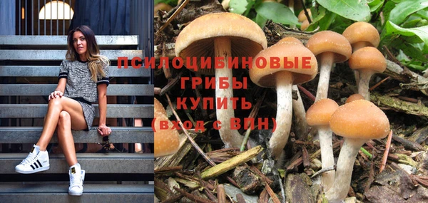 кокаин колумбия Анжеро-Судженск