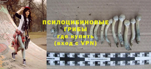 apvp Михайловск