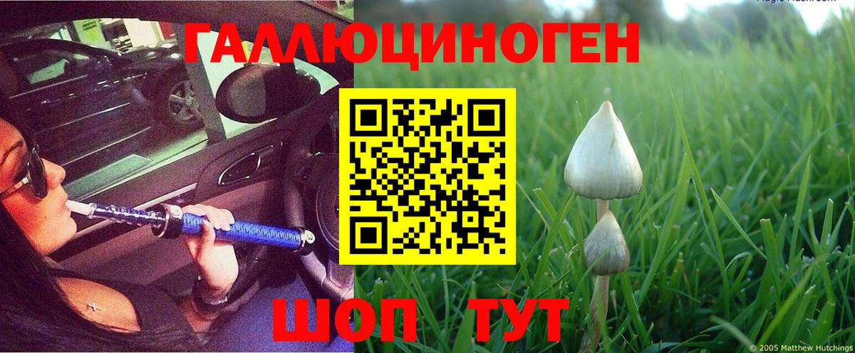 Галлюциногенные грибы ЛСД  Вход с VPN  Жуковский  хочу наркоту  Галлюциногенные грибы Cubensis 