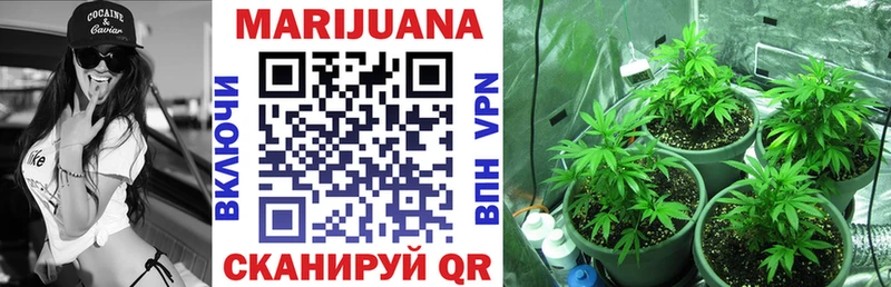 где купить наркотик  Жуковский  darknet Telegram  Канабис сатива 