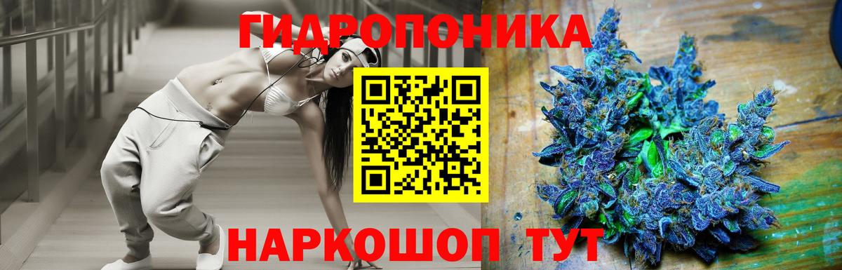 Шишки марихуана гибрид  Жуковский  Канабис конопля  Бошки Шишки Bruce Banner  МАРИХУАНА THC 21% 